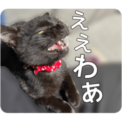 [LINEスタンプ] うにうにうなうな