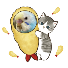 [LINEスタンプ] インコのラムネちゃん。