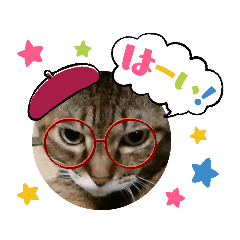 [LINEスタンプ] りんご、チョロ、もも ＆すいかの思い出