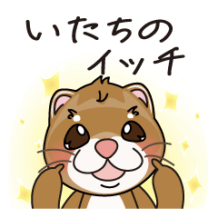 [LINEスタンプ] いたちのイッチ 1【修正版】