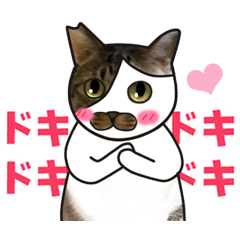 [LINEスタンプ] 保護猫スタンプ怖がりポルコpart2 修正版