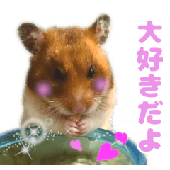 [LINEスタンプ] ハムスターのあまなつ