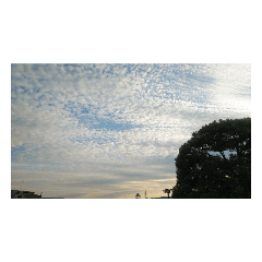 [LINEスタンプ] 秋の青空うろこ雲神秘的雲夕焼け太陽輝き光