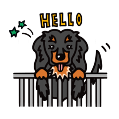 [LINEスタンプ] 我が家の愛犬ベル♡