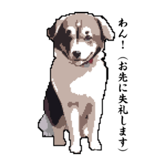 [LINEスタンプ] 働くわんこスタンプ