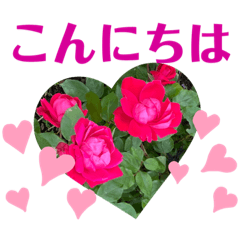 [LINEスタンプ] 可愛い花の日常