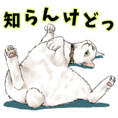 [LINEスタンプ] 猫にまみれたがりのスタンプ3