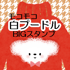 [LINEスタンプ] 【モコモコ白プードル】BIGスタンプ