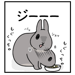 [LINEスタンプ] もしも、うさぎと一緒なら 第1弾