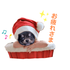 [LINEスタンプ] 犬猫豚