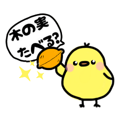 [LINEスタンプ] ひよっ子ストライカ〜