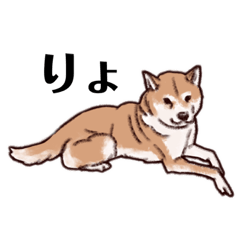 [LINEスタンプ] 柴犬かんたくん