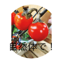 [LINEスタンプ] 地球劇場・実りの刻