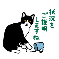 [LINEスタンプ] 白黒ハチワレ猫のこっぺ