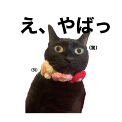 [LINEスタンプ] 我が家の黒猫ジジっ