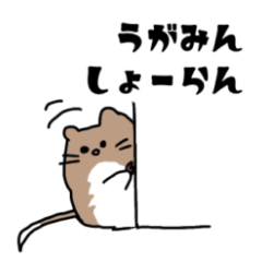 [LINEスタンプ] 日常で使える奄美の仲間たちのスタンプ