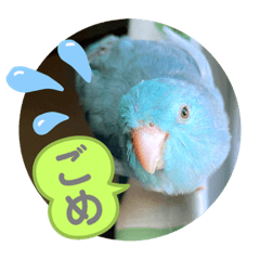 [LINEスタンプ] マメルリハのリル18