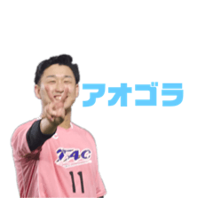 [LINEスタンプ] アオゴラッソの日常
