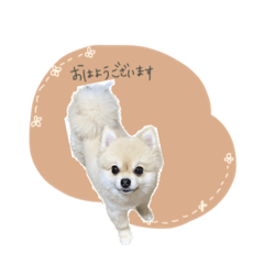 [LINEスタンプ] 愛犬アポ様No.2