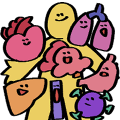 [LINEスタンプ] ぼくらのからだスタンプ