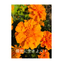 [LINEスタンプ] 地球劇場Vol.2花、咲き香る