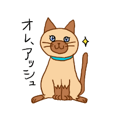 [LINEスタンプ] 海ちゃんちのアッシュの画像（メイン）