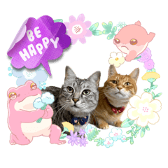 [LINEスタンプ] Daily of Tabby Cats