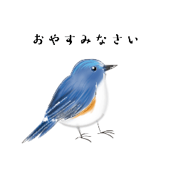 [LINEスタンプ] 【敬語】世界の野鳥スタンプ