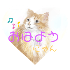 [LINEスタンプ] チャー猫スタンプ