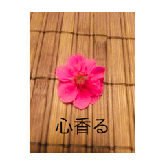 [LINEスタンプ] 地球劇場3〜花、咲き香る2〜