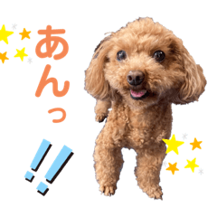 [LINEスタンプ] あん！なのもん！
