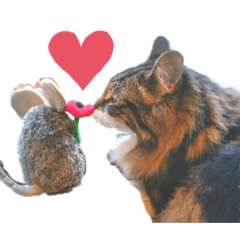 [LINEスタンプ] ノルウェージャンフォレストキャットrouis2