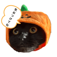 [LINEスタンプ] にゃんふく2