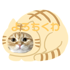 [LINEスタンプ] マンチカンちくわ様