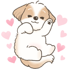 [LINEスタンプ] 可愛いシーズー犬の日常会話