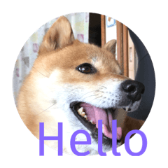 [LINEスタンプ] ほのぼの元気くん7️⃣