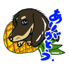 [LINEスタンプ] ワンちゃんが夢中になる食べ物-言葉編-