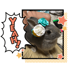 [LINEスタンプ] 可愛い子達1