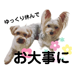 [LINEスタンプ] ロキゆめスタンプ