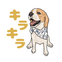 [LINEスタンプ] ビーグル5