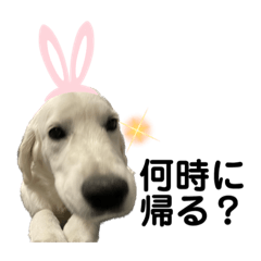 [LINEスタンプ] フロスティ2(5ヶ月)