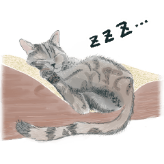 [LINEスタンプ] 黒猫坊やのクロノさん