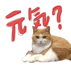 [LINEスタンプ] 白玉とあんみつ甘味処姉妹