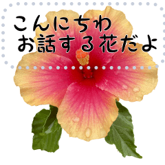 [LINEスタンプ] お花が話すメッセージスタンプ