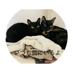 [LINEスタンプ] 地球劇場〜一緒に生きよう〜