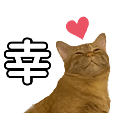 [LINEスタンプ] こてふみの日常 3