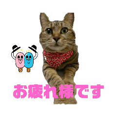 [LINEスタンプ] モモちゃん日常会話2