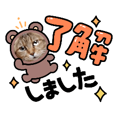 [LINEスタンプ] モモちゃん日常会話