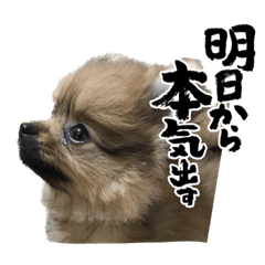 [LINEスタンプ] ラブリーぽちゃ