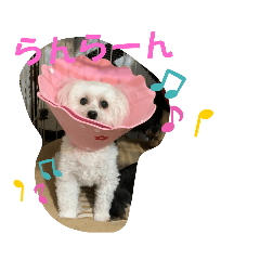 [LINEスタンプ] ひなたちゃんスタンプ 第4弾